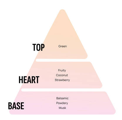 Een kleurrijke drie lagen piramide diagram toont het geurprofiel van coconut carparfum van areon met fruitige hartnoten